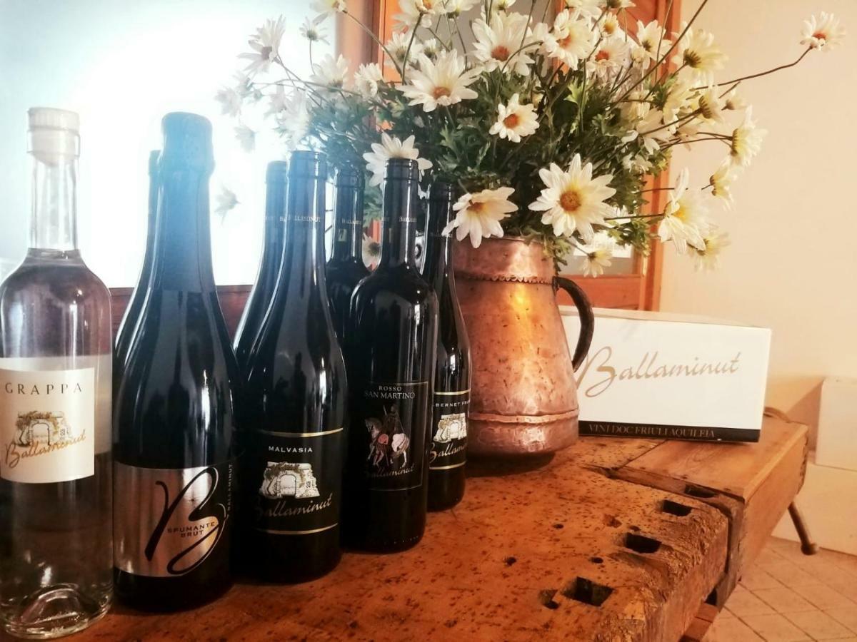 Agriturismo Ballaminut Terzo d' Aquileia Zewnętrze zdjęcie